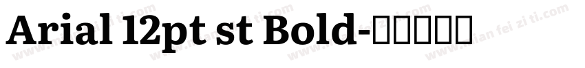 Arial 12pt st Bold字体转换
